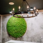 (50 photos) Stabilized moss in the interior