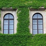 Arched windows. Photos and design options 