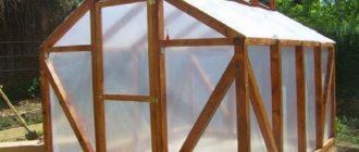 Do-it-yourself wooden greenhouse: dimensions, drawings, step-by-step instructions