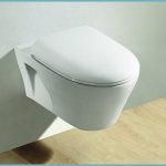 What load can a wall-hung toilet bear?