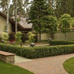 Do-it-yourself landscape design near the house. 12 popular styles with descriptions (40 photos and 3 videos) 