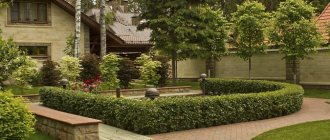 Do-it-yourself landscape design near the house. 12 popular styles with descriptions (40 photos and 3 videos) 
