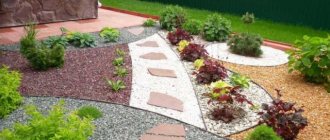 Decorating a flowerbed with crushed stone with your own hands - inexpensive, stylish and reliable