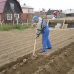 Correct technique for digging soil in the garden
