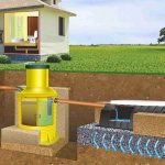 Types of bacteria for septic tanks