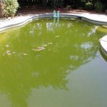 Pool contamination